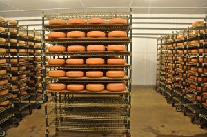 queseria, que es un maestro quesero, fabrica de quesos, industria lactea, cuanto pesa una horma de queso