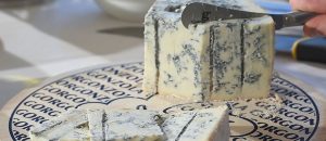 queso patagonzola, patagonzola, queso patagonia, queso azul patagonia, diferencia patagonzola y gorgonzola, por que se llama patagonzola