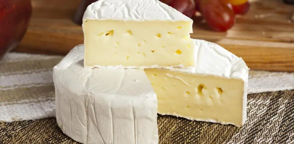 quesos blandos argentinos ,quesos blandos, tipos de quesos blandos, queso brie, origen del queso brie,