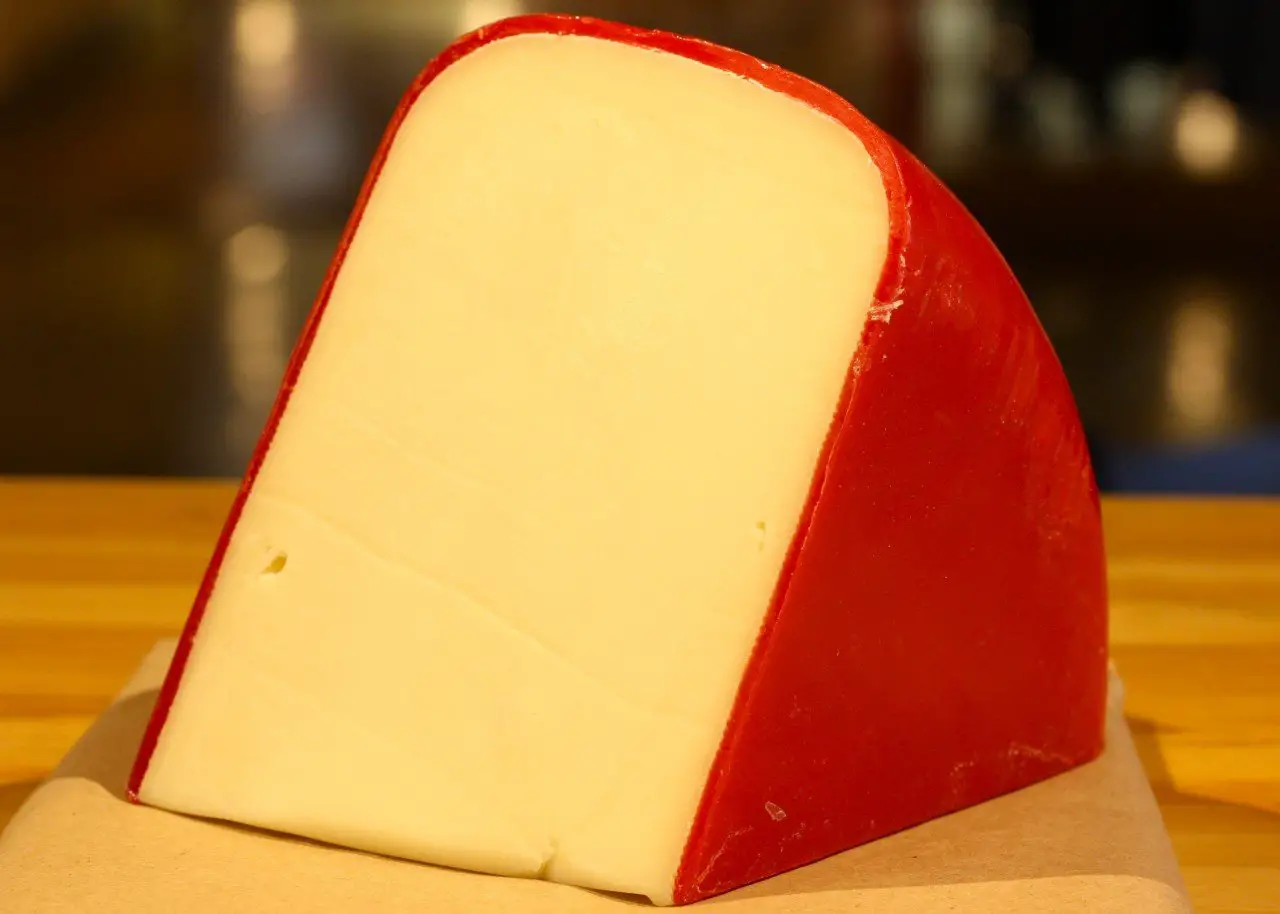 Fontina cheese: ¿What is it and what are its substitutes?