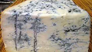 queso gorgonzola, historia gorgonzola, sustitutos gorgonzola, que es el queso gorgonzola, como se hace el gorgonzola