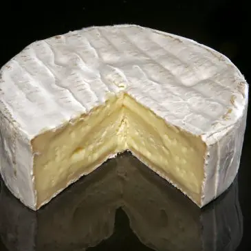 Queso Camembert: ¿Qué tipo de queso es y cuáles son sus características?
