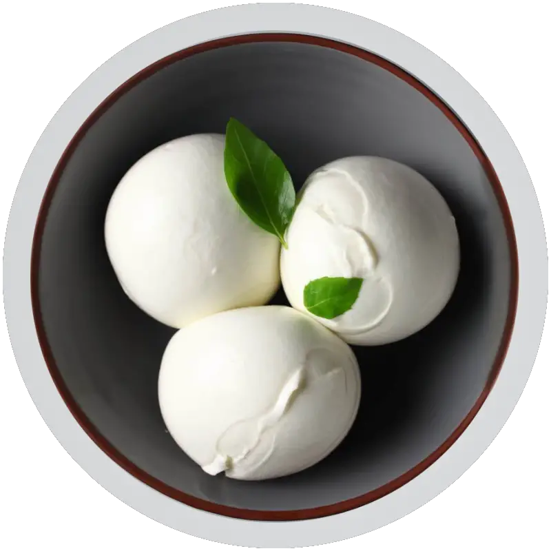 Bocconcini Cheese: What it is and why it has that name