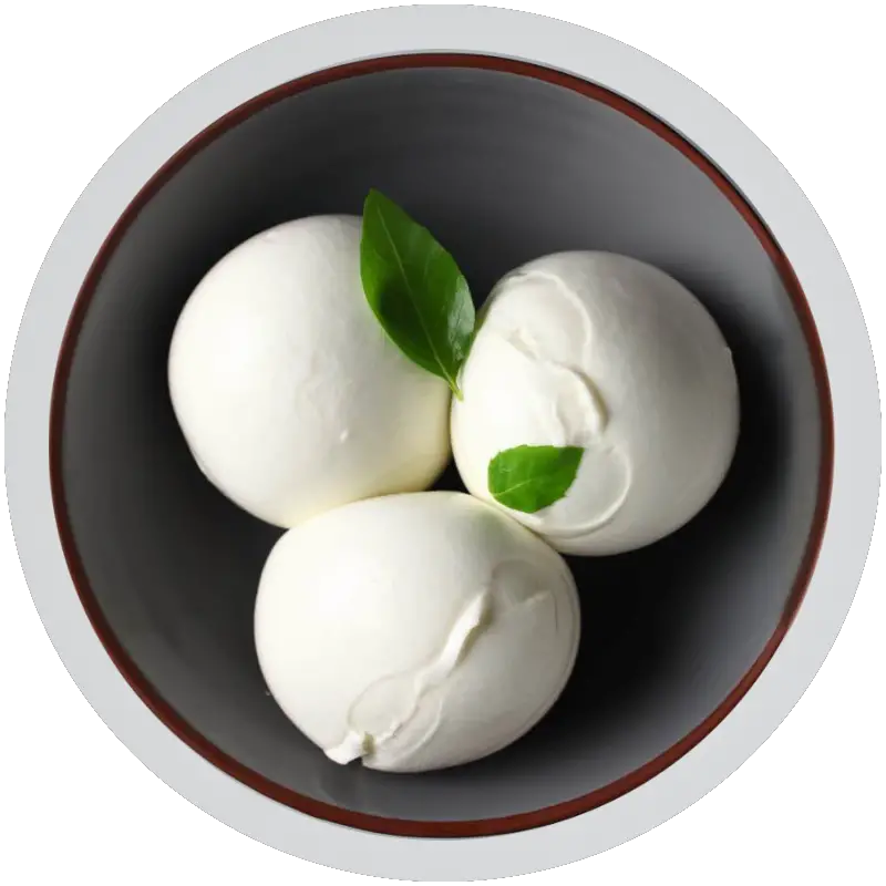 Queso Bocconcini: Qué es y por qué tiene ese nombre