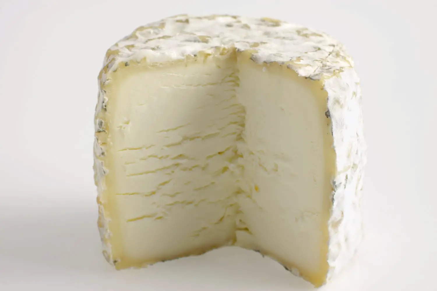 queso magro, queso sin sal, queso bajo en grasa, que es el queso magro