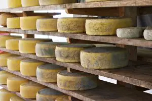 queso asiago características, queso asiago sabor, queso asiago usos, queso asiago historia, asiago origen, asiago cheese, what is asiago, substitutes asiago, recipes asiago, taste asiago