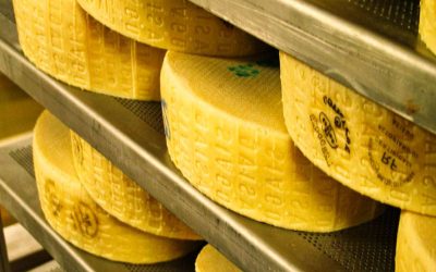 Queso Asiago: Que es y cuales son sus características