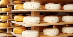 queso ramonetti, que es el queso ramonetti, origen queso ramonetti, sustitutos queso ramonetti