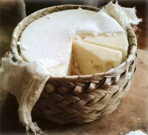queso tenate, que es el queso tenate, como se usa el queso tenate, caracteristicas queso tenate