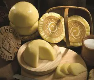 queso casin, que es el queso casin, origen queso casin, características queso casín