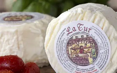 La Tur Cheese: What is and how is made